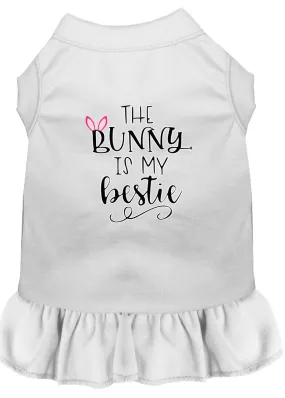 Bunny Is My Bestie Screen Print Dog Dress White Xl (16)