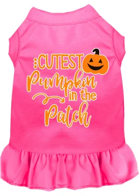 Cutest Pumpkin In The Patch Screen Print Dog Dress Bright Pink Med